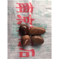 红色精品 