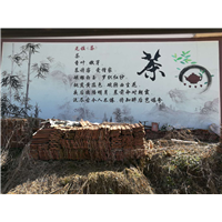 江苏彩绘电话 