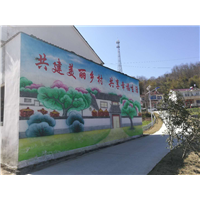 南京彩绘公司 