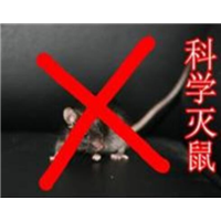 宿州工厂杀虫灭鼠