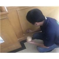 宿州灭老鼠公司