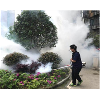 宿州灭蟑螂