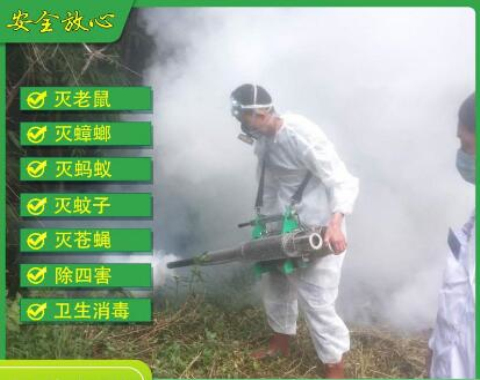 宿州灭四害
