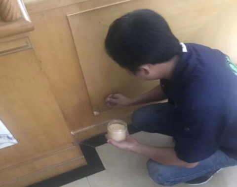 宿州灭老鼠公司