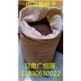 肉苁蓉种子 