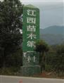 湿地松 马尾松 