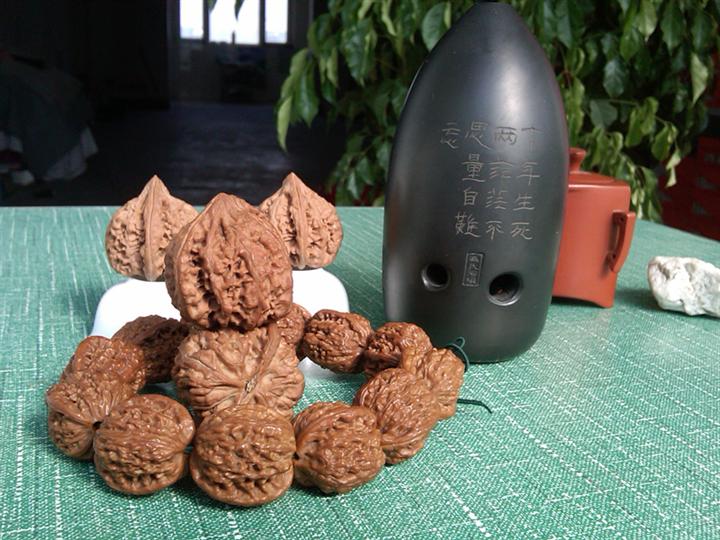 河北麻核桃苗供应商-河北文玩核桃苗供应商\河北麻核桃苗供应商