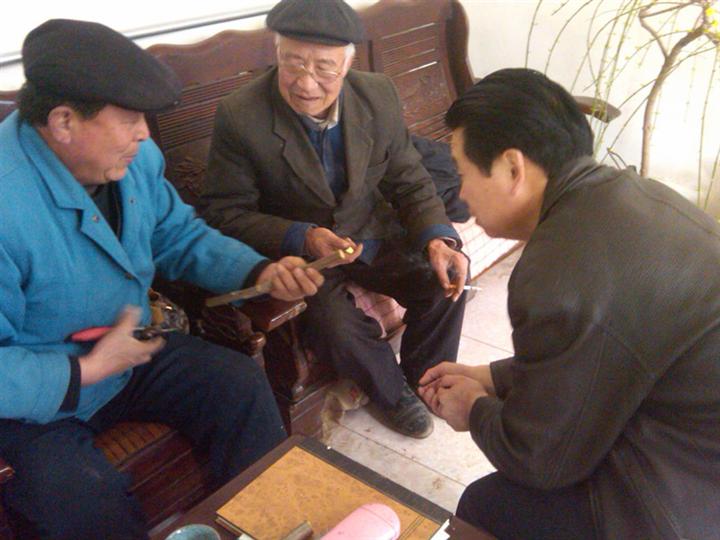 树苗、接穗 网络