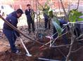 河北文玩核桃产地|涞水文玩核桃产地