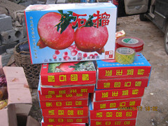 供应石榴出售石榴 