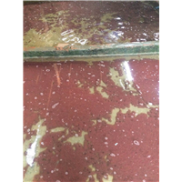 红线虫 