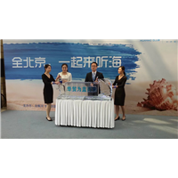 北京冰雕制作公司 
