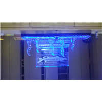 北京冰雕制作 