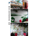 衡水墙绘哪家好|衡水哪里有墙绘公司