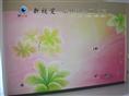 衡水新视觉墙绘工作室