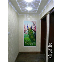 衡水手绘墙