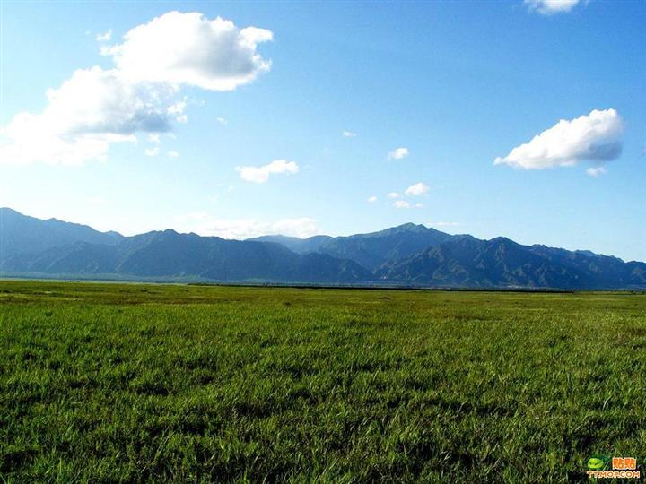 张北中都农家院哪家好？就选张北武家大院 