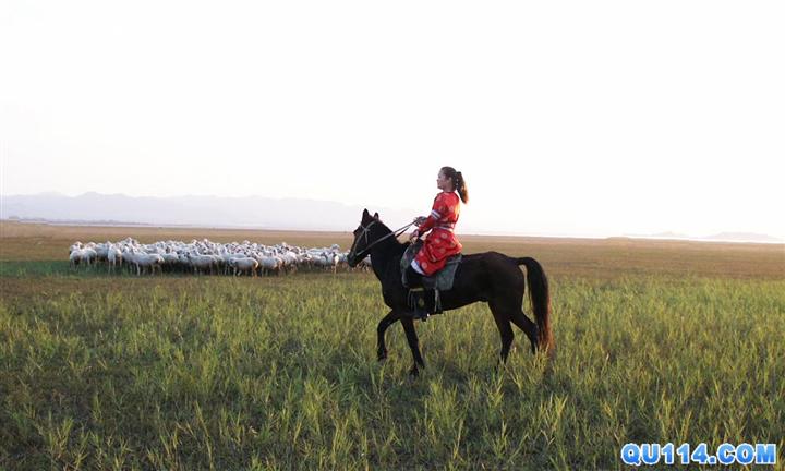 张北中都草原农家乐：武家大院 