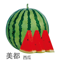 河南西瓜代办 