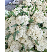 开封有机菜花