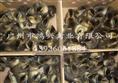 【野鸭苗/广州野鸭苗专业饲养管理技术】