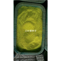 四季草花