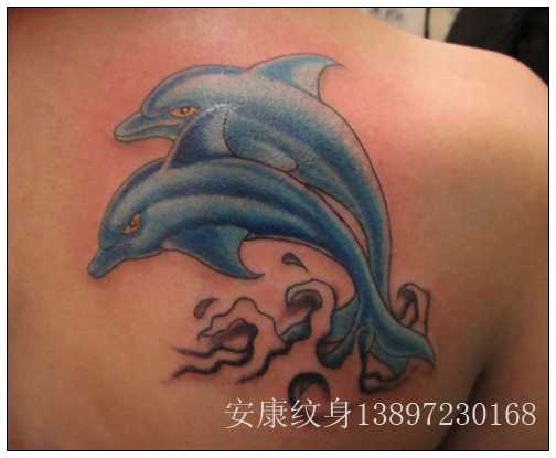 海豚--青海刺青工作室，13897230168 