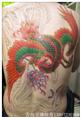 凤【未完】--青海洗纹身哪里好？ 