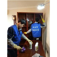 锦州室内清除甲醛公司