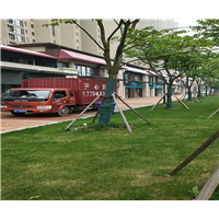 嘉善搬运公司