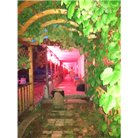 帽儿山农家院住宿哪家便宜 