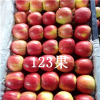 吉林123果 