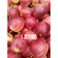 吉林123果 