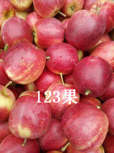 吉林123果 