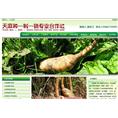 泉州网络公司#天麻中药材类网站 
