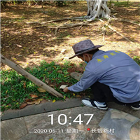 海口白蚁防治 