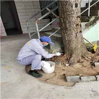 海口白蚁防治 