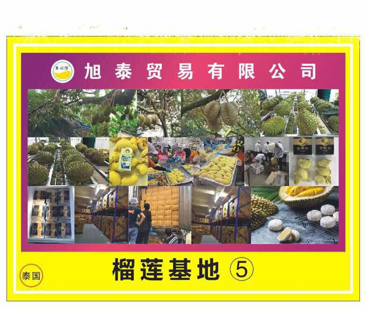 榴莲冻肉基地供应