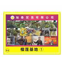 榴莲冻肉批发