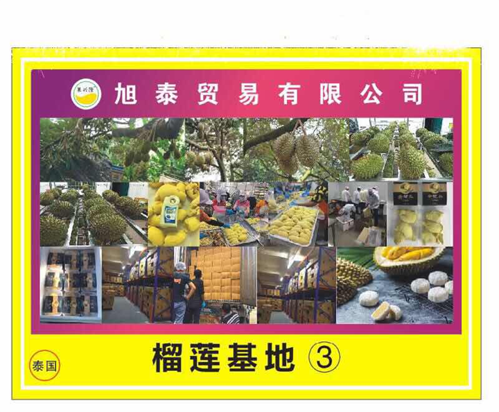 榴莲冻肉基地直销