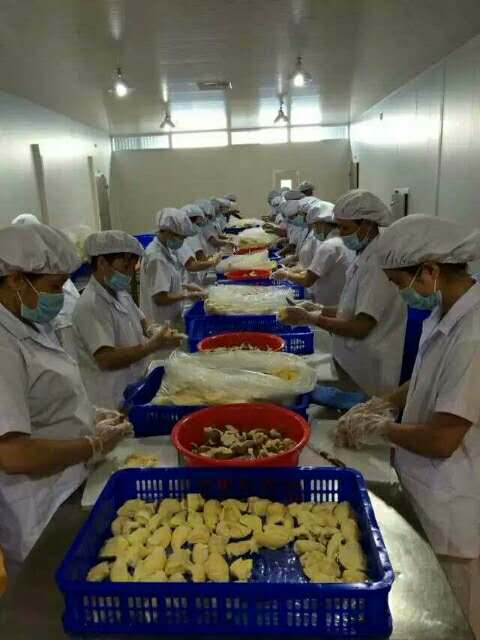 榴莲冻肉批发丨冷冻榴莲批发