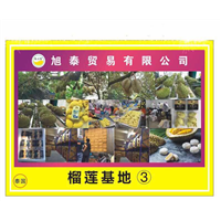 榴莲冻肉基地直销