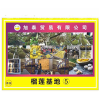 榴莲冻肉基地供应