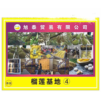 泰国榴莲冻肉广州供应商