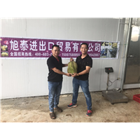 合作客户留影