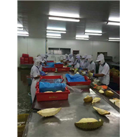 泰国冷冻榴莲直销