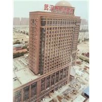 广西芝麻黑 