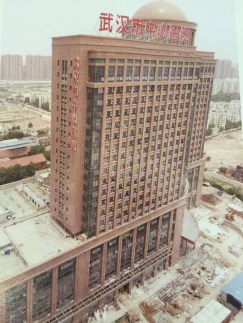 广西芝麻黑 