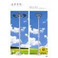 长春厂区用高杆灯 