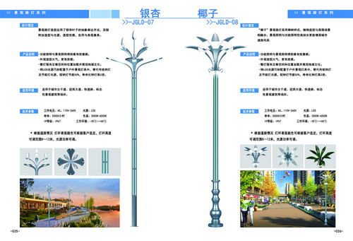 吉林景观灯 